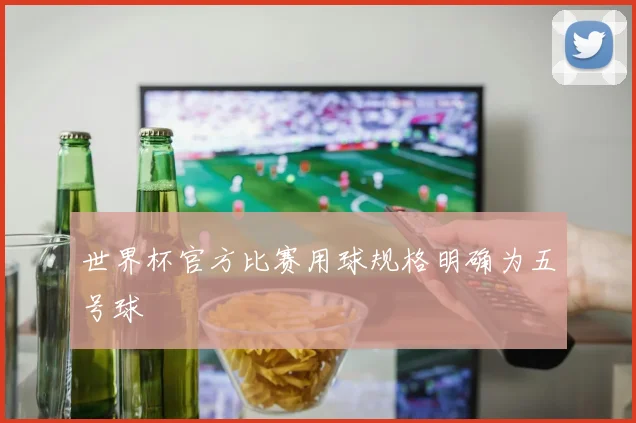 世界杯官方比赛用球规格明确为五号球