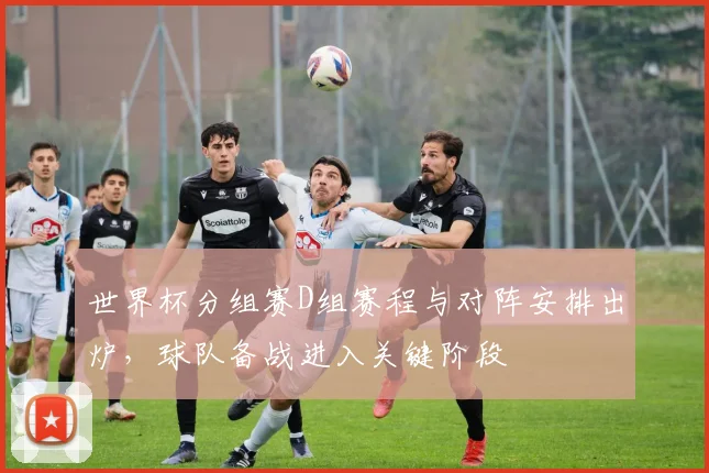世界杯分组赛D组赛程与对阵安排出炉，球队备战进入关键阶段
