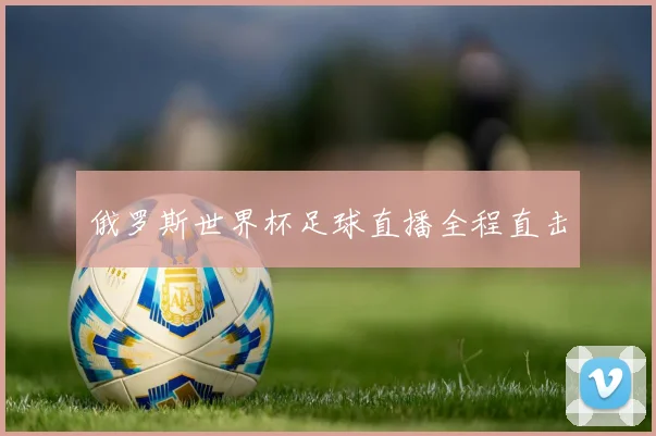 俄罗斯世界杯足球直播全程直击