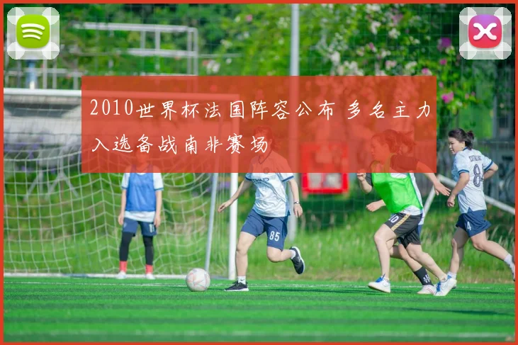 2010世界杯法国阵容公布 多名主力入选备战南非赛场