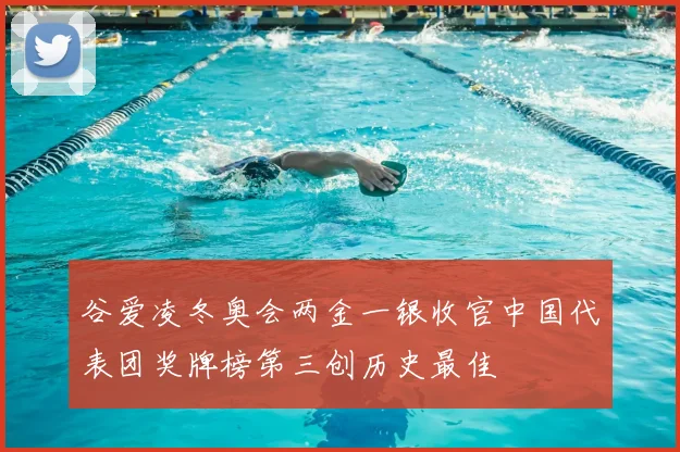 谷爱凌冬奥会两金一银收官中国代表团奖牌榜第三创历史最佳