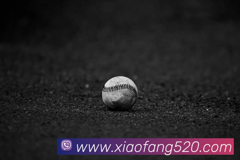 世界杯开户平台服务体系